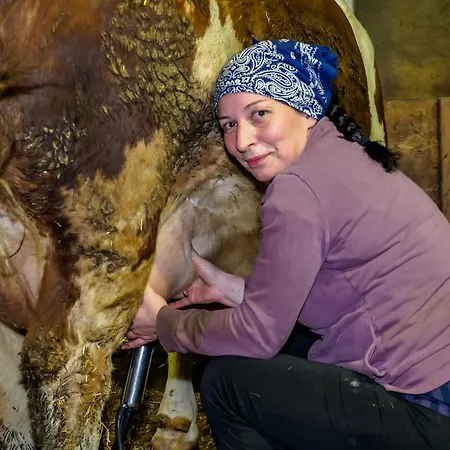 Bauernhof Untergrafer Innervillgraten