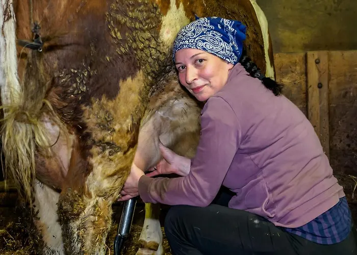 Bauernhof Untergrafer انرفلغراتن