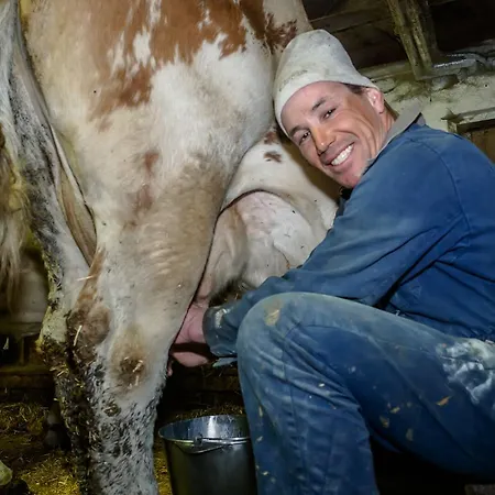 Bauernhof Untergrafer * Innervillgraten