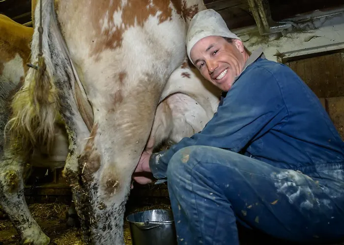 Bauernhof Untergrafer * Innervillgraten